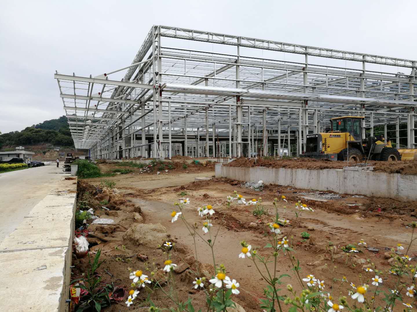 713贵宾会检测线路(中国)股份有限公司