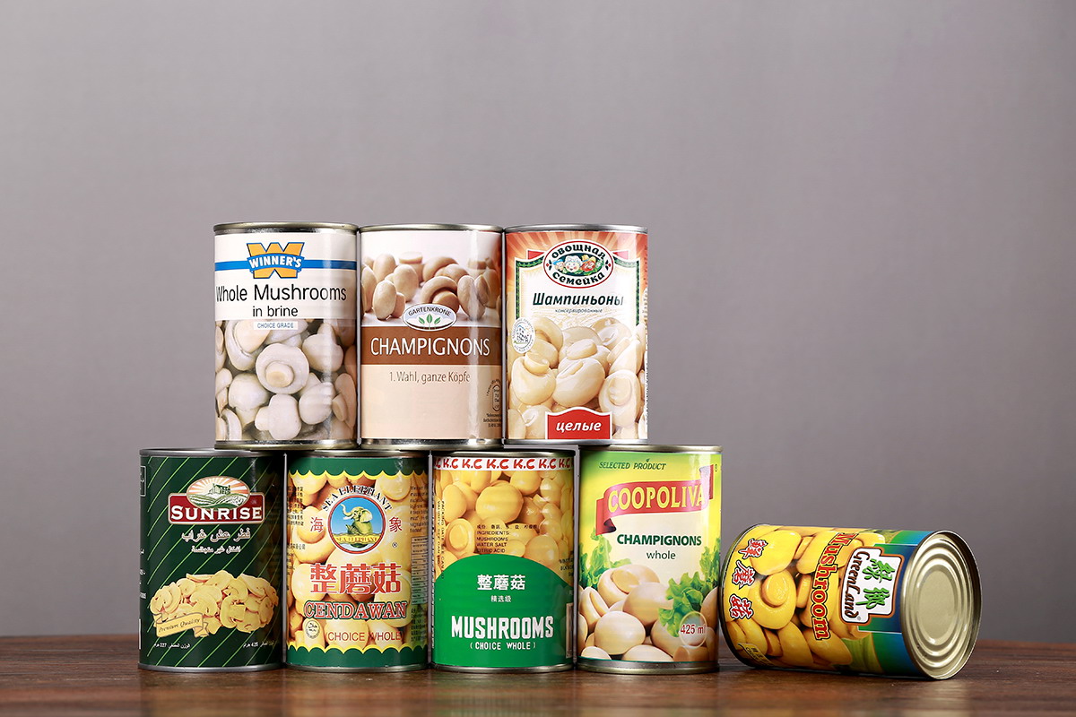 713贵宾会检测线路(中国)股份有限公司