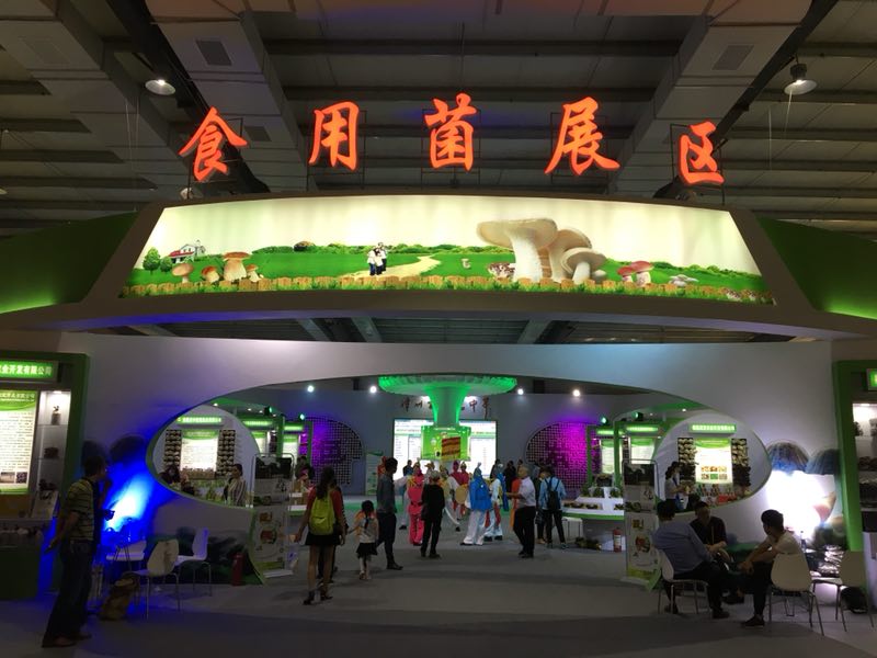 713贵宾会检测线路(中国)股份有限公司