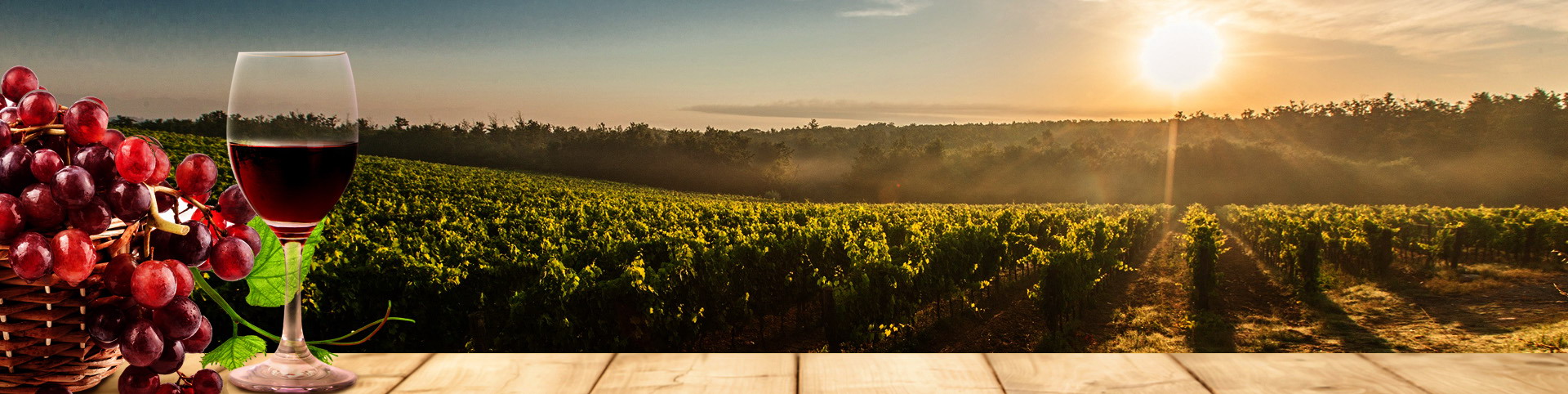 713贵宾会检测线路(中国)股份有限公司