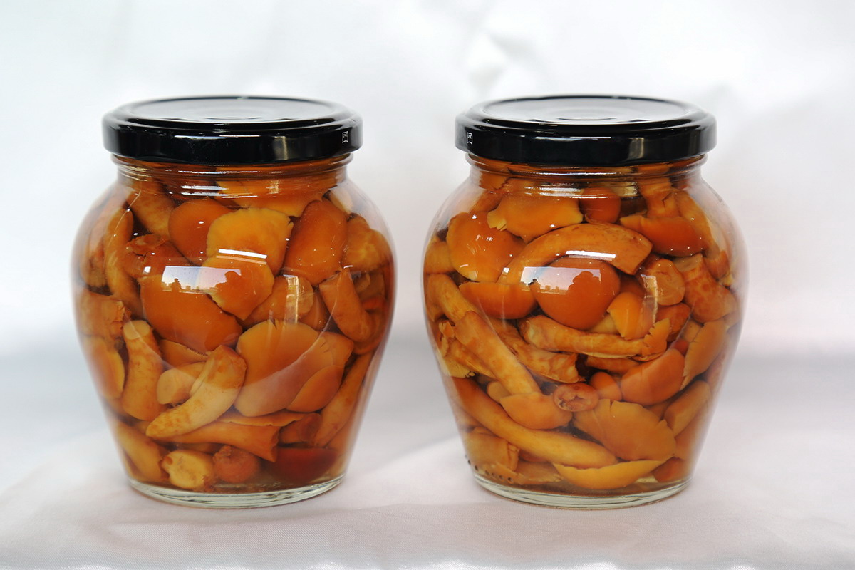 713贵宾会检测线路(中国)股份有限公司