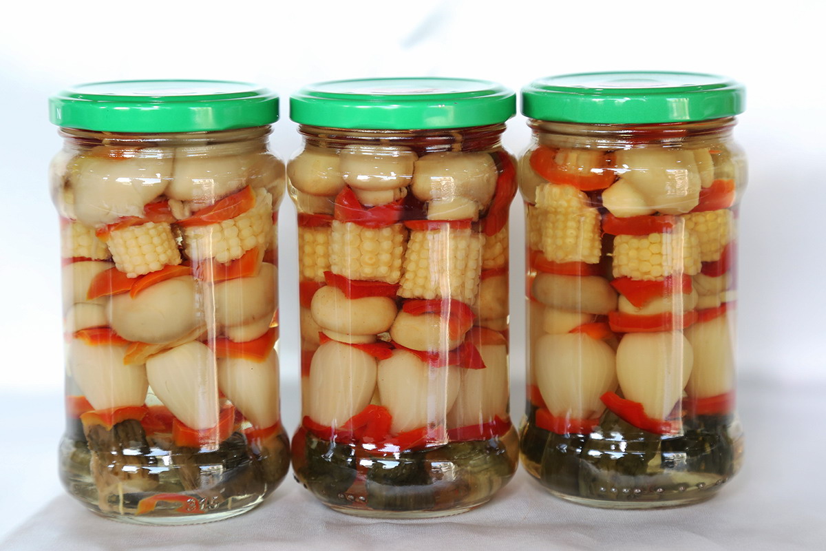 713贵宾会检测线路(中国)股份有限公司