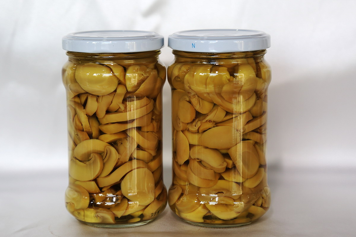 713贵宾会检测线路(中国)股份有限公司